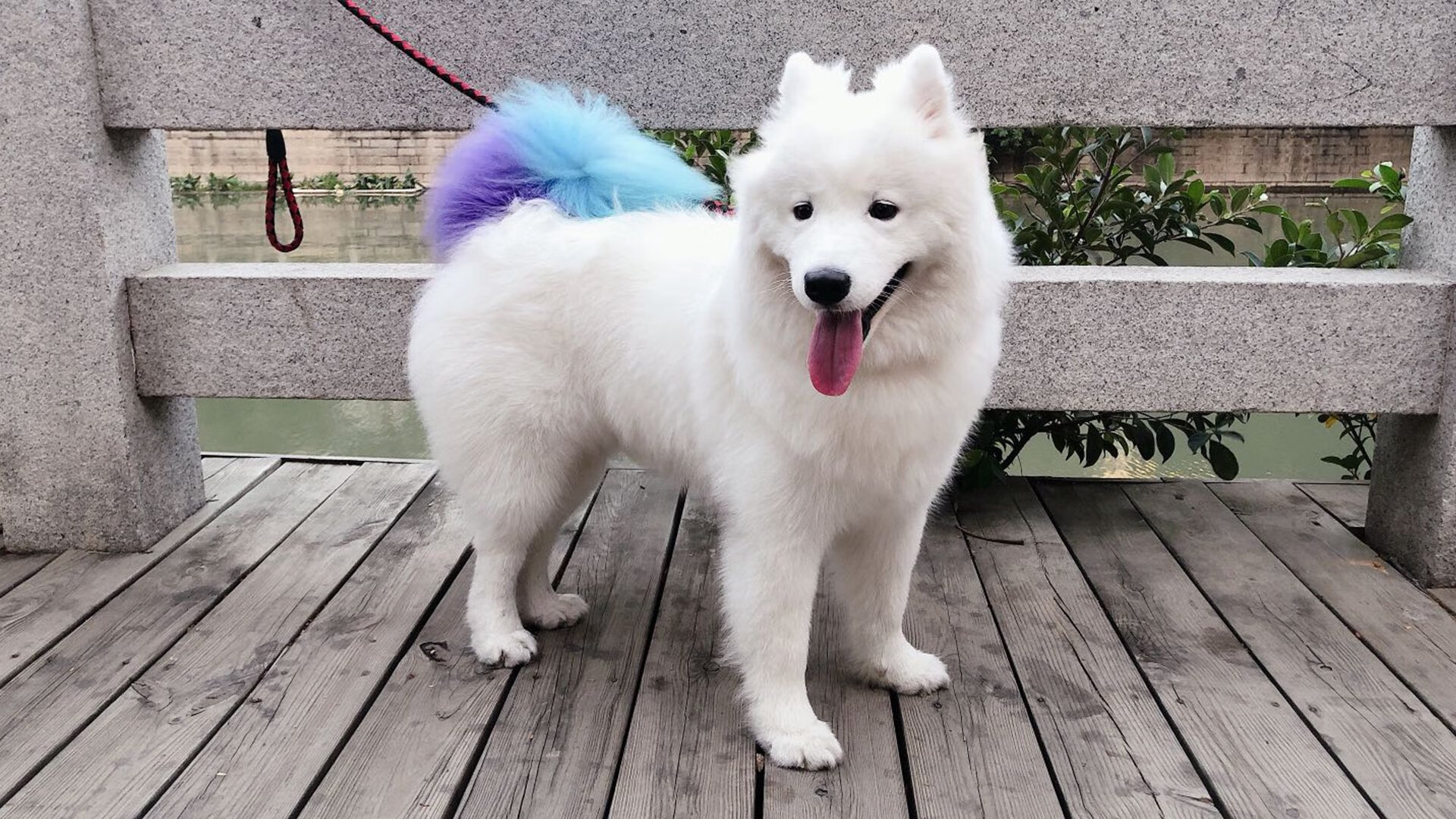 九游游戏中心官网-亚军也是荣耀：那些未夺冠依然光彩夺目的球队，亚军有奖杯吗