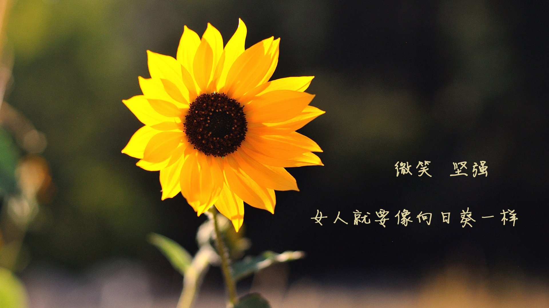 九游sports-最燃瞬间：年度“绝杀”集锦你收集了吗？，绝杀排行榜