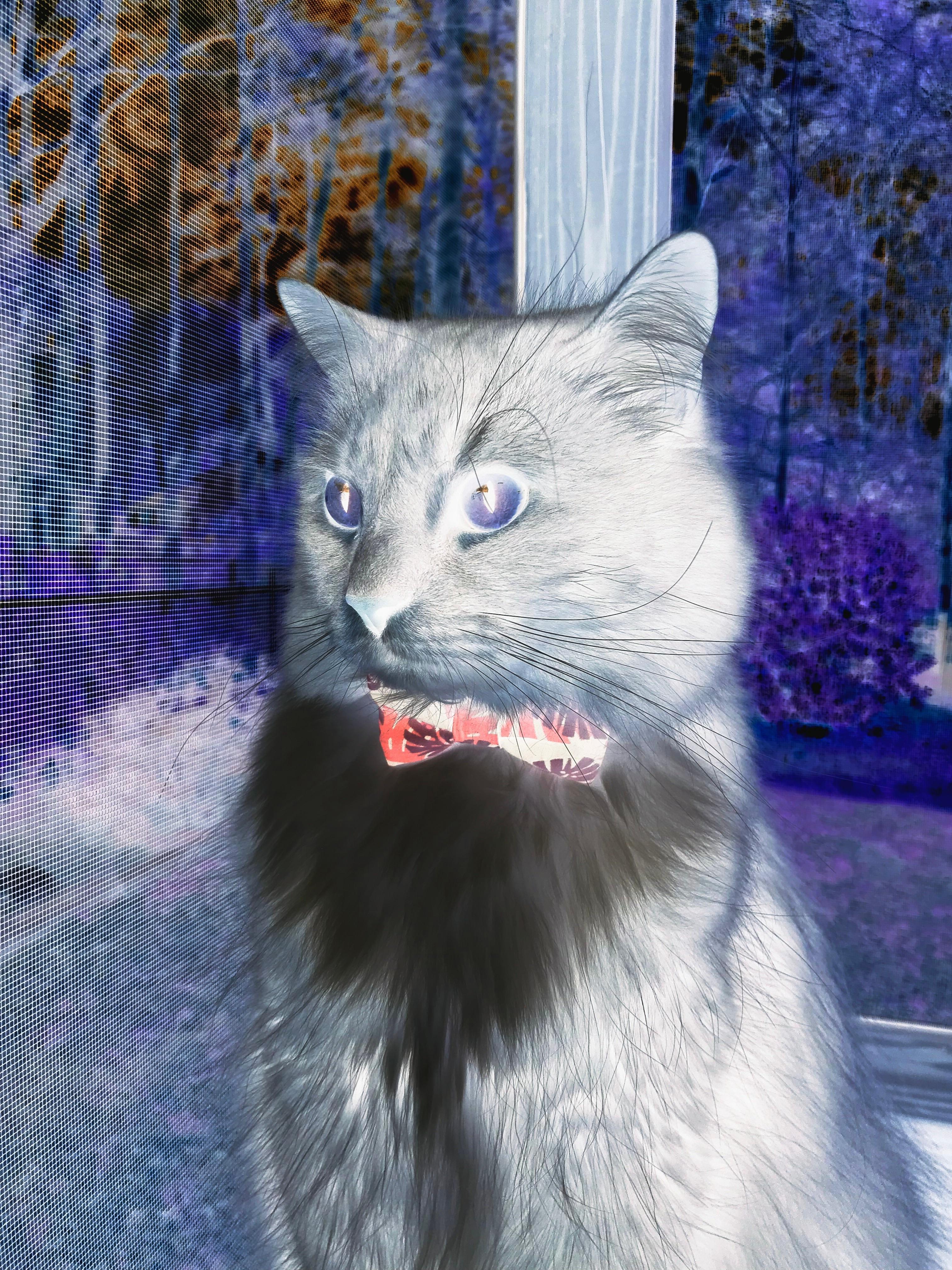 九游娱乐(jiuyou)官方网站-中甲联赛的俱乐部财务管理机制，俱乐部财务管理制度