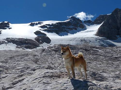 九游娱乐官网 (JIUYOU)-亚洲篮球联赛外援活跃表现，cba亚洲外援上场规则
