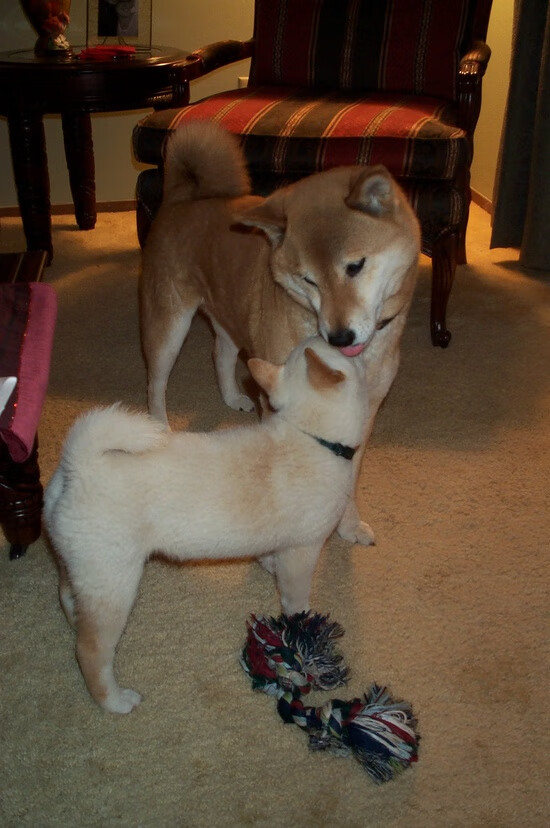 九游下载中心-全北现代客场战平保持排名，全北现代昨天的比赛