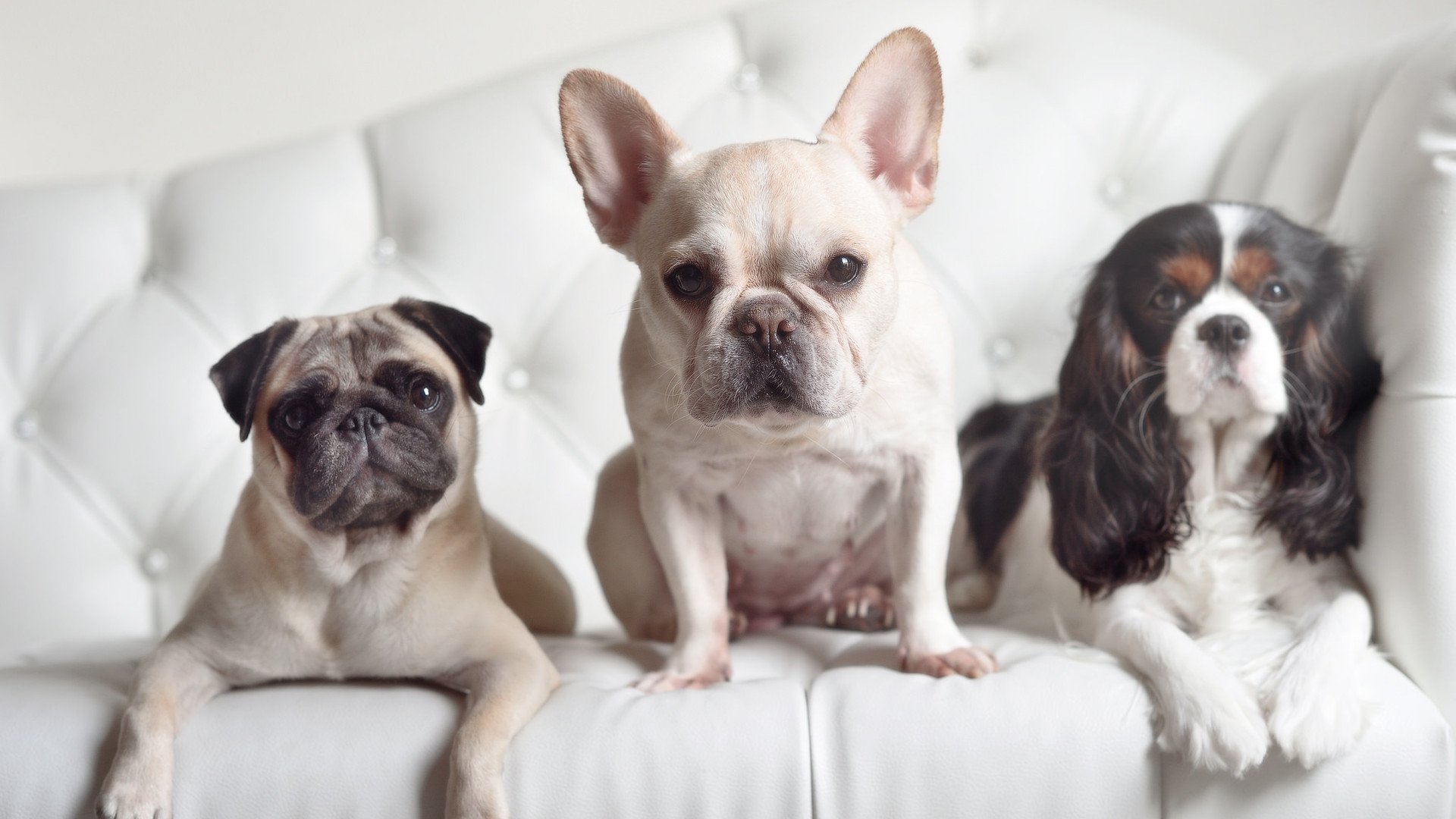 九游APP官网-墨尔本联防守体系日益完善，墨尔本篮球队