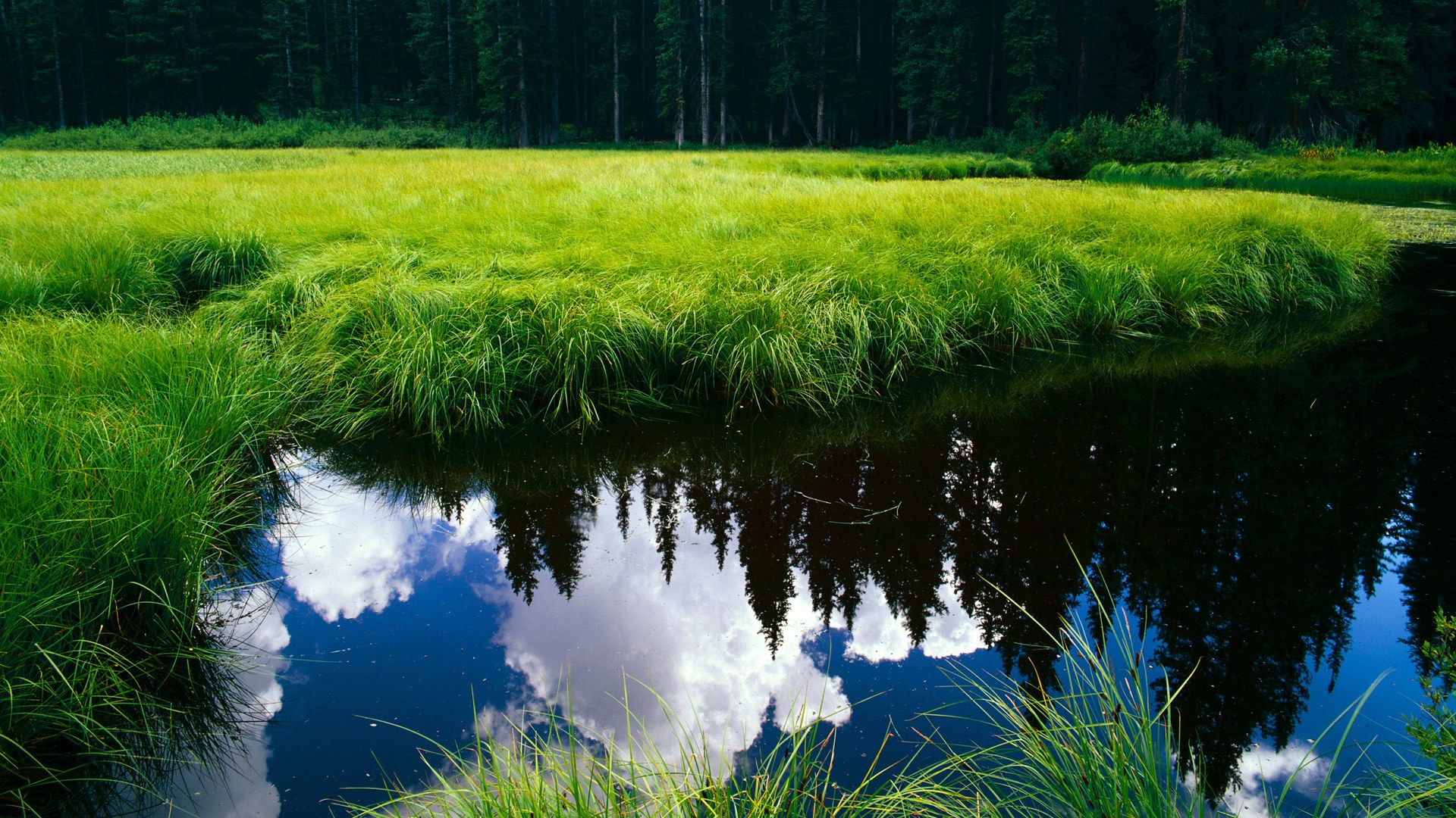 欧洲比赛中的焦点战役,谁将脱颖而出?,欧洲杯焦点战