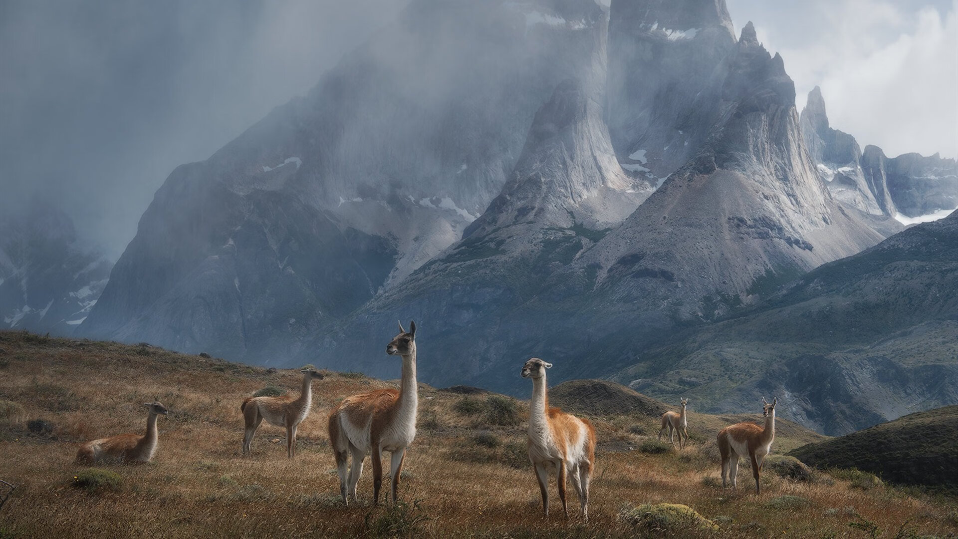 九游官网pc-热火主场失利，球队客场表现需大幅提升，热火新主场