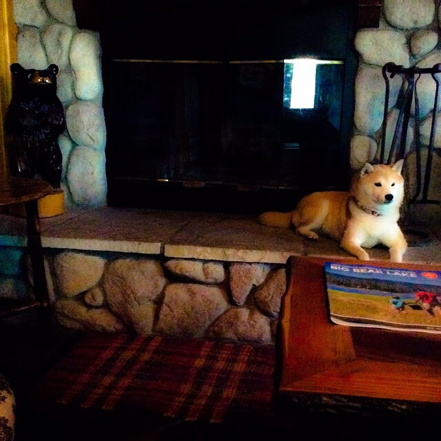 九游下载安装-足球职业联赛各队排名变幻莫测，冲刺冠军，足球联赛职业联盟