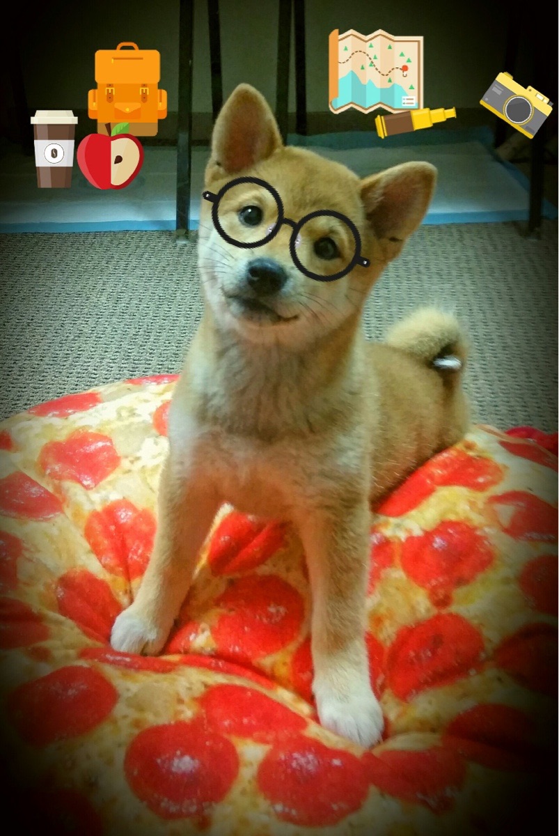 九游网-魔术客场遭遇溜马绝杀，失去比赛，魔术客场遭遇溜马绝杀,失去比赛的球员