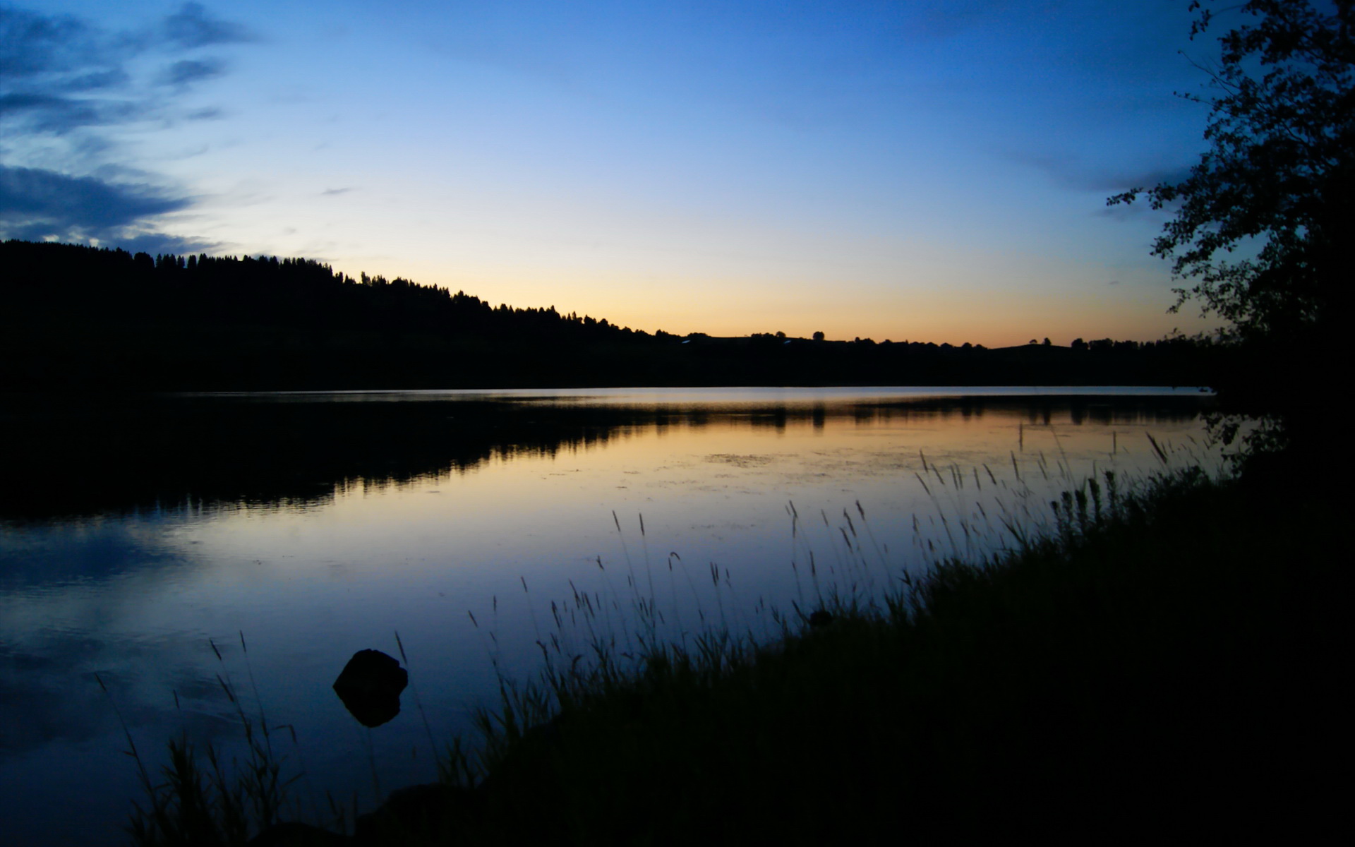 运动训练效果监测与反馈系统开发，运动训练效果监测与反馈系统开发方案
