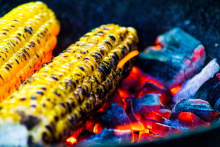 九游(jiuyou)官方网站-运动饮食干预对运动表现的促进研究，举例阐述饮食运动对健康的意义