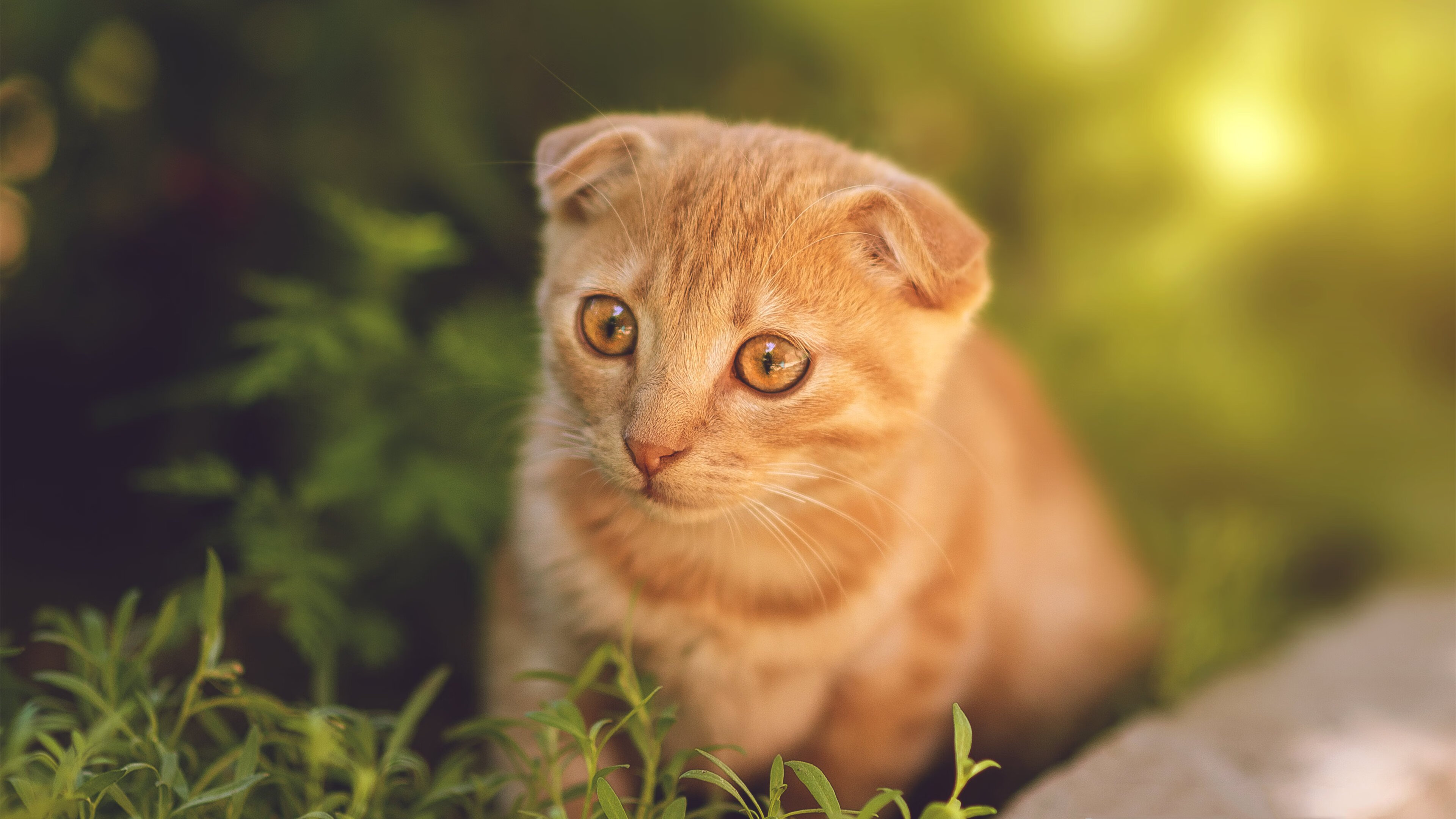 九游（jiuyou.com）游戏-中国男篮分析比赛录像 精准修正战术漏洞，中国男篮蓝队录像回放