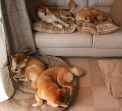 Jiu You-国家女篮提升场上沟通减少无谓失误，国家女子蓝球队