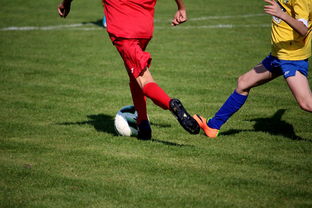 九游APP官网-国家女篮训练日程公开每日训练内容紧张高效，国家队女篮在哪里训练