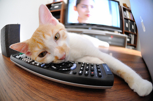 网球青少年赛冠军产生,网球青少年赛冠军产生多少奖金