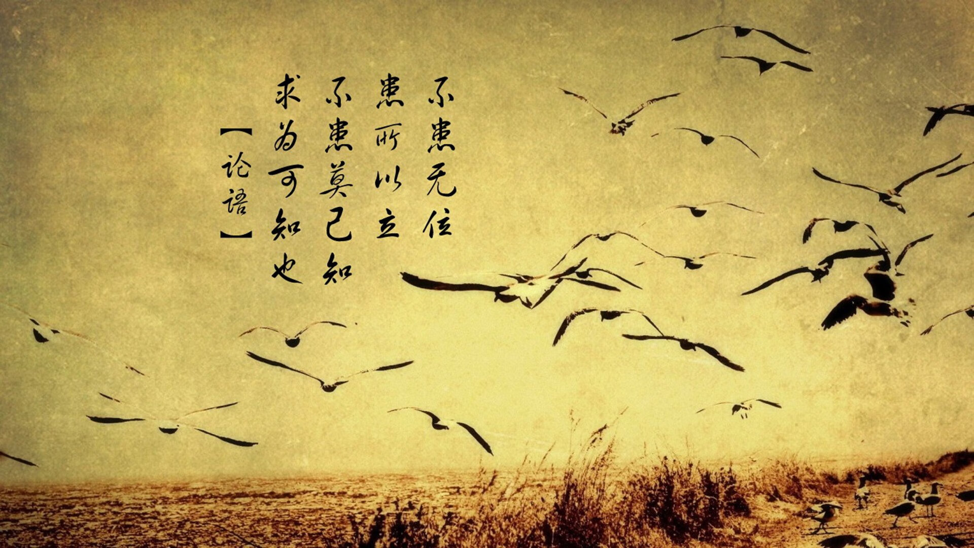 九游下载安装-荷兰队在欧洲预赛中持续高歌猛进，晋级希望乐观