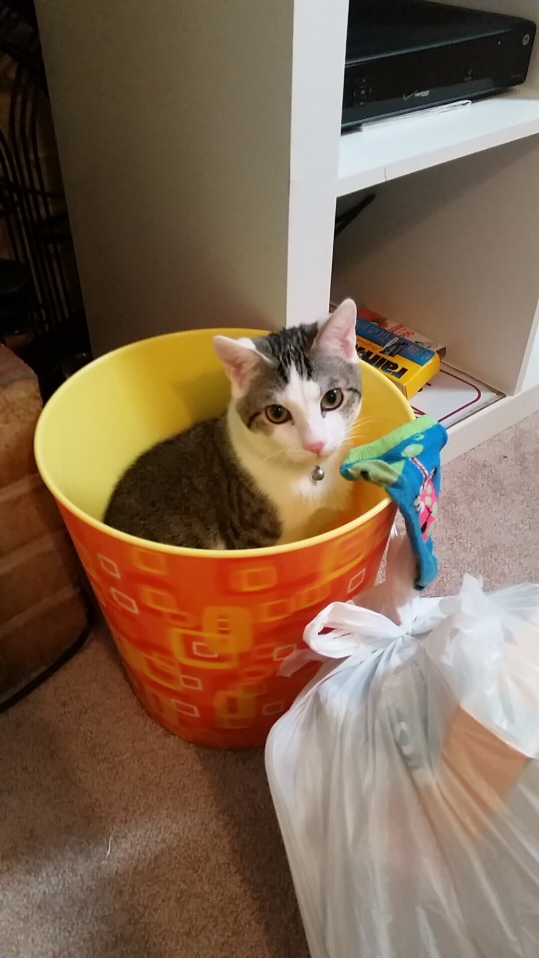 九游下载中心-陈佳用实力回应期待，陈佳什么