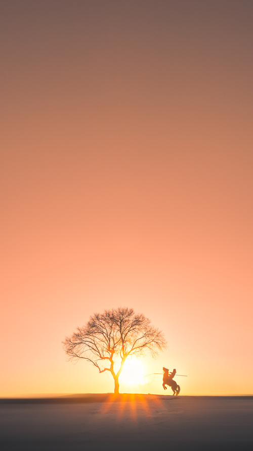 九游电脑版-青少年足球志愿者队伍不断壮大，推广普及全民健身，足球联赛志愿者